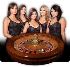 Antarmuka permainan Teen Patti dengan statistik real-time
